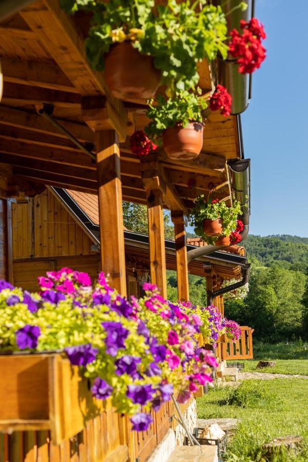 Apartments Milev Mokra Gora Buitenkant foto